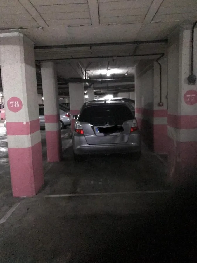毕尔巴鄂Trauko Flat Parking 12 Euros X Day Ebi01313公寓